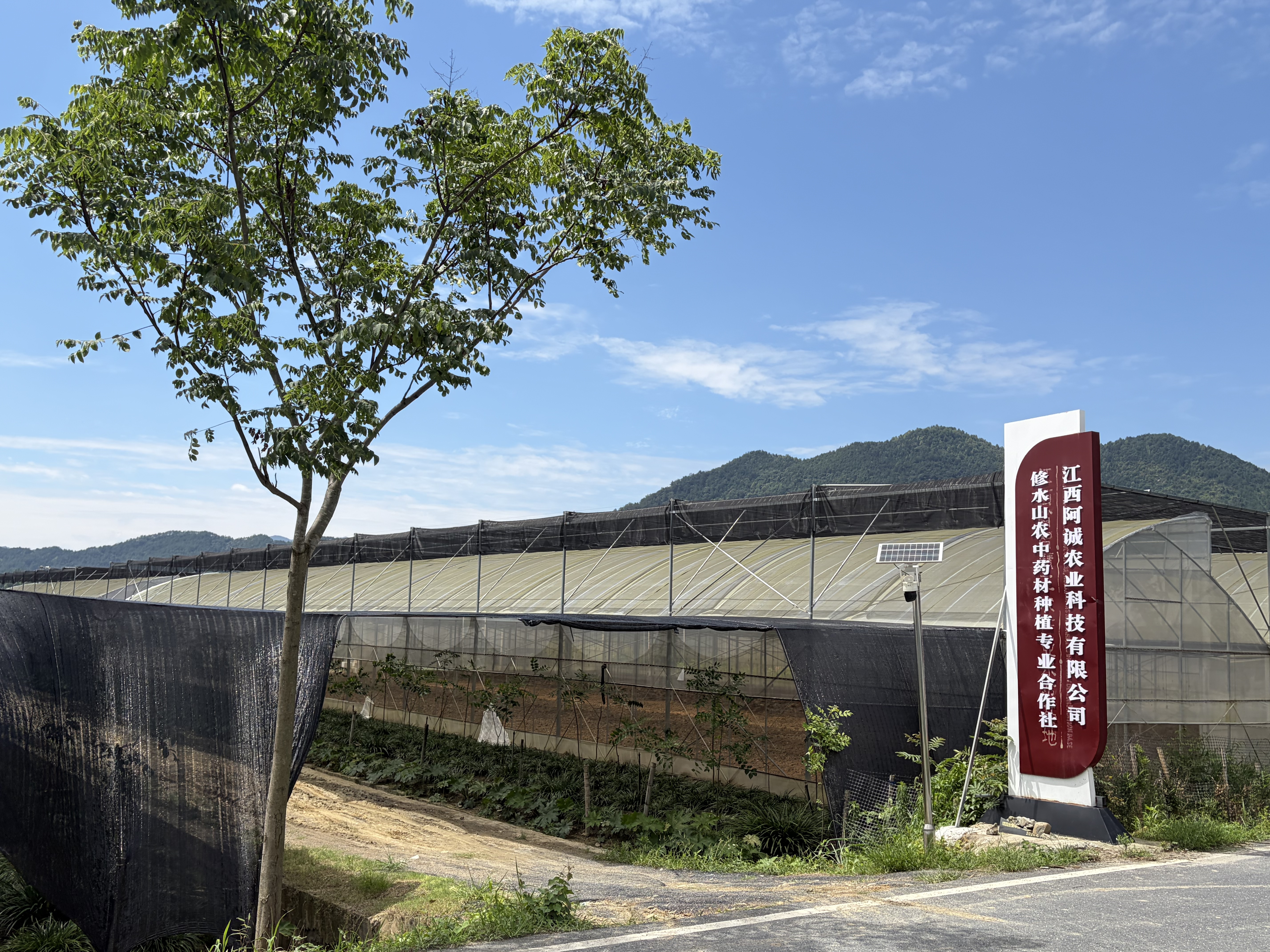 中药材种植基地实景